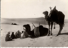 COLLECTION SAHARIENNE HALTE EN VUE DU CAMPEMENT - Western Sahara