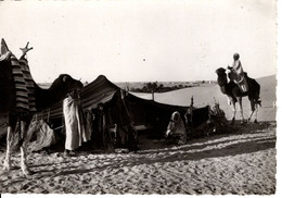 COLLECTION SAHARIENNE DEVANT LA HAIMOH OU TENTE NOMADE - Western Sahara