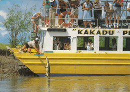 South Alligator River , Ship Kakadu Princess , Saltwater Crocodile - Kakadu