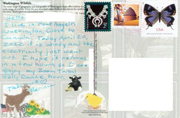 C1 : USA - Necklace, Small Hut Architecture, Butterfly Stamps Used On Postcard (washington Wildlife Postcard) - Lettres & Documents