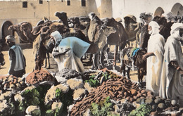 Ouargla - Le Souk 1964 - Ouargla