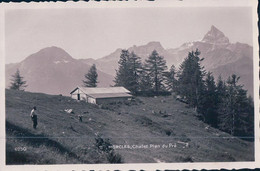 Morcles VD, Chalet D'alpage Plan Du Pré Et Pâturage (6250) - Morcles