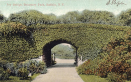 BUFFALO - IVY BRIDGE - DELAWARE PARK - BUFFALLO - N.Y. - CARTOLINA FP SPEDITA NEL 1908 - Buffalo