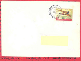 SAN MARINO 1960 - St.Post.027 - Biglietto Aperto "FAUNA AVICOLA" - Vedi Descrizione - - Storia Postale