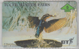 UNITED KINGDOM 1996 BIRDS KINGFISHER TCCFE WINTER FAIRS '96 - Passereaux