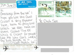 C2  - UK Water Birds, Bittern Stamps Used On Postcard - Sin Clasificación