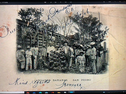 People Carrying Bananas And Train - Honduras