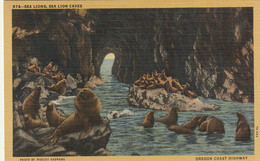 Sea Lions, Sea Lion Caves, Oregon Coast Highway - Altri & Non Classificati