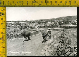 Oristano Bonarcado Panorama - Oristano