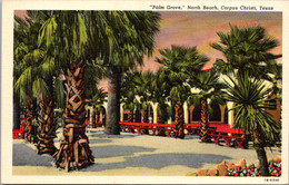 Texas Corpus Christi North Beach "Palm Grove" Curteich - Corpus Christi