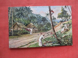 Saint Lucia  Tuck Series. Gathering Cocoanuts    Ref 5909 - St. Lucia