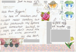 C2 : Bulgaria - Mushroom Stamps Used On Postcard - Brieven En Documenten