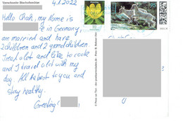 C2 : Germany Little Sheep Stamps Used On Postcard - Covers & Documents