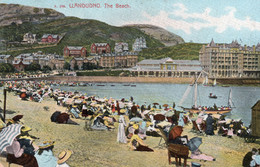 LLANDUDNO - THE BEACH - CARTOLINA FP SPEDITA NEL 1906 - Caernarvonshire