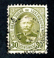 139 Lux 1893 YT63 O Cat 1.€ (Offers Welcome!) - 1891 Adolphe Voorzijde