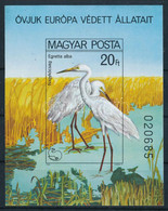 ** 1980 Madarak - Védett Vízimadarak Vágott Blokk (6.000) - Sonstige & Ohne Zuordnung