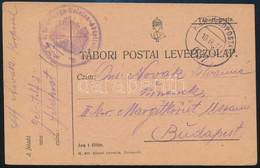 1917 Tábori Posta Levelezőlap / Field Postcard "K.u.k. Gebirgs Telefon Abteilung Nr. 2." + "FP 637" - Other & Unclassified