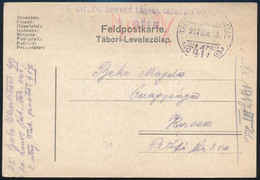 1917 Tábori Posta Levelezőlap / Field Postcard "M. Kir. 20. Honvéd Tábori Tarack Ezred 3. üteg" + "TP 417" - Other & Unclassified