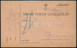 1917 Tábori Posta Levelezőlap / Field Postcard "K.u.k. Infanterieregiment" + "TP 427 A" - Other & Unclassified