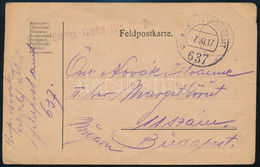 1917 Tábori Posta Levelezőlap "K.u.k. Gebirgs Telefon Abtg. Nr.2." + "FP 637 B" - Other & Unclassified