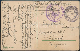1917 Képeslap / Postcard "K.U.K. SEEMINENKOMMANDO I." + "MFP POLA" - Kispest - Other & Unclassified