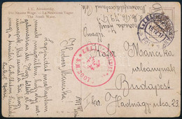 1917 Tábori Posta Képeslap / Field Postcard Torpedoboot 79 T - Other & Unclassified