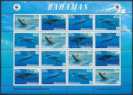 ** 2007 WWF: Bálnák Kisív Mi 1281-1284 - Other & Unclassified