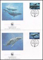 1996 WWF: Hosszúszárnyú Bálna Sor Mi 1400-1403 4 Db FDC-n - Otros & Sin Clasificación