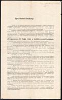 1935 Debrecen, A Revíziós Liga (ill. Egyéb, Irredenta Törekvésű Szervezetek) Helyi Elnökségi Tagjainak Nyílt Levele Az O - Ohne Zuordnung