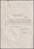 1939 Pálfy József (1874-1944), 1934-1942 Között Szeged Polgármestere Autográf Aláírása Egy Horthy Kormányzó Látogatás Al - Ohne Zuordnung