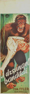 A Dzsungel Banditái, Tim Tyler Kalandjai, 1937-1940 K. Moziplakát (filmplakát, Rácsplakát). Litográfia, Papír. Radó Nyom - Andere & Zonder Classificatie
