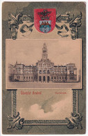 T2/T3 1902 Arad, Városháza. Szecessziós Címeres Litho Keret / Town Hall. Art Nouveau, Litho Frame With Coat Of Arms (EK) - Ohne Zuordnung