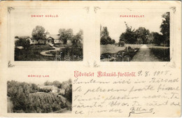 T2/T3 1905 Bikszád-fürdő, Baile Bixad; Orient Szálloda, Park, Móricz-lak. Czettel és Deutsch Kiadása / Spa, Hotel, Park, - Ohne Zuordnung