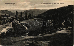 T2/T3 1918 Boksánbánya, Németbogsán, Deutsch-Bogsan, Bocsa Montana; út A Kutacskához / Weg Zum Bründl / Road (EK) - Ohne Zuordnung