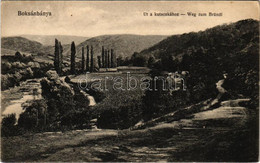 T2/T3 1918 Boksánbánya, Németbogsán, Deutsch-Bogsan, Bocsa Montana; Út A Kutacskához / Weg Zum Bründl / Road To The Well - Ohne Zuordnung