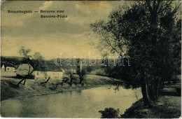 T2/T3 1908 Boksánbánya, Németbogsán, Deutsch-Bogsan, Bocsa Montana; Berzova Vize. W.L. 1136. / Barzava River (EK) - Ohne Zuordnung