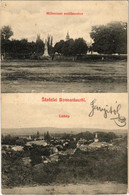 T2/T3 1910 Borossebes, Boros-Sebes, Sebis; Milleniumi Emlékszobor, Látkép / Monument, General View (apró Lyuk / Tiny Pin - Ohne Zuordnung