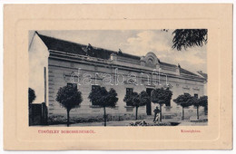 T2/T3 1911 Borossebes, Boros-Sebes, Sebis; Községháza. W.L. Bp. / Town Hall (EK) - Ohne Zuordnung