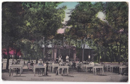 T4 1911 Braila, Bufetul Din Gradina Publica / Buffet At The Park, Restaurant, Garden With Waiters And Guests (wet Damage - Unclassified