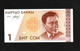 Kyrgyzstan, 1 Kyrgyzstani Som, 1994 ND Issue - Kirghizistan