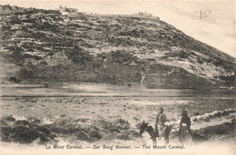 CPA - Palestine - Le Mont Carmel - Der Berg Karmel - The Mount Carmel - Boulos Meo - Dos Non Divisé - Animé - Cheval - Palästina