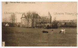 CPA Ham-sur-Heure    Le Chateau Vu Des Prairies - Ham-sur-Heure-Nalinnes