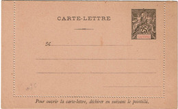 CTN27B- GUYANE EP CL ALLEGORIE 25c ACEP N°6 TRACE DE CHARNIERE AU VERSO - Lettres & Documents