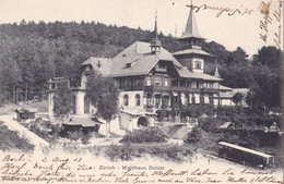 Suisse - Schweiz - ZURICH WALDHAUS DOLDER ,POSTCARD. - Wald