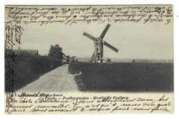 Thielt  Tielt   Poelbergmolen   Moulin Du Poelberg   Edit D.V.D.  8960  Vervenne-Missant   MOLEN  MOULIN - Tielt