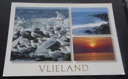 Vlieland - Van Leer's - # AAB 630 - Vlieland