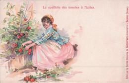 Publicité Conserves De Luxe Saxon VS Suisse, La Cueillette Des Tomates à Naples, Litho (910) - Saxon
