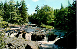 Canada Nova Scotia Trout Stream Along Marine Highway Route #1 - Altri & Non Classificati