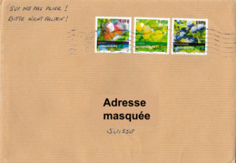 Lettre Voyagée Du Luxembourg De Bourscheid Pour Vétroz Valais (VS) Susse Le 21/05/2022 Types De Prunes - Fruits - Storia Postale