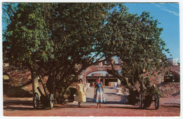 JAMAICA 1959 Airmail To Balboa Canal Zone, Fort Charles Novelty Trading Postcard 13098-B (CZ8) - Zona Del Canal